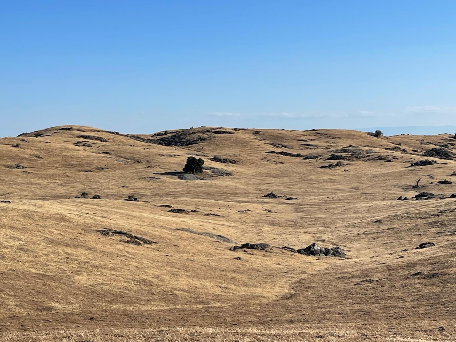 30 hwy 41, O neals, CA 93645