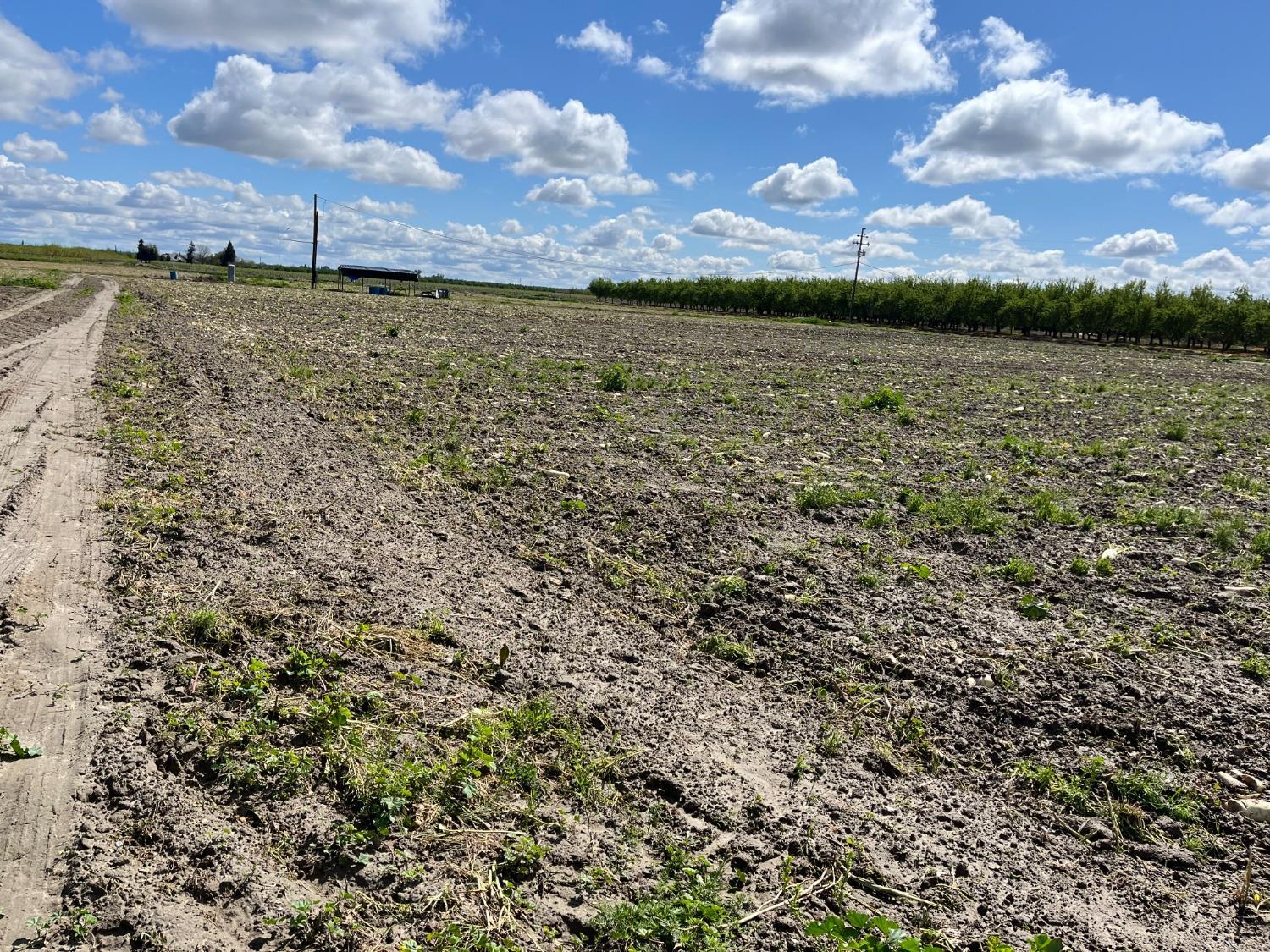 6066 S Cornelia Ave, Fresno, CA 93706