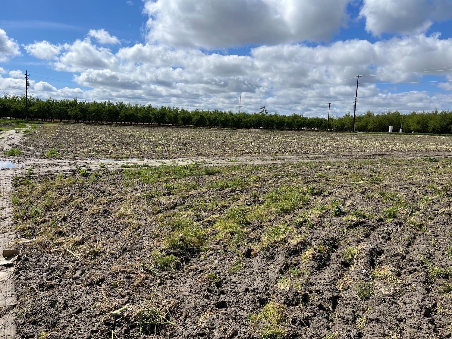 6066 S Cornelia Ave, Fresno, CA 93706