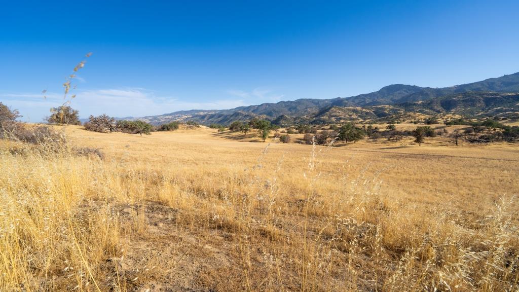 47069 Crump Ln, Coalinga, CA 93210