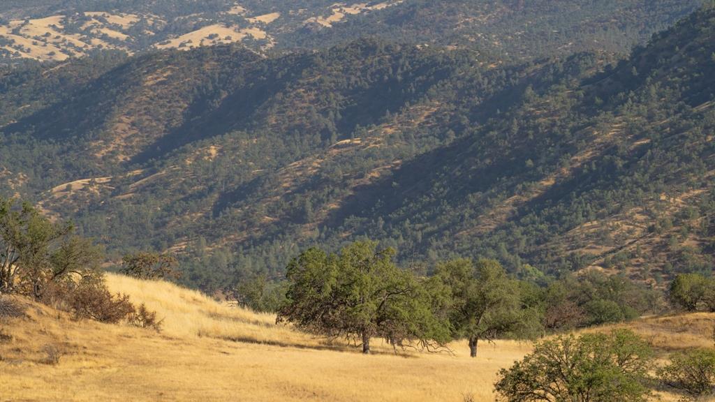 47069 Crump Ln, Coalinga, CA 93210