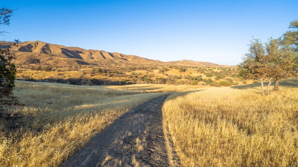 47069 Crump Ln, Coalinga, CA 93210