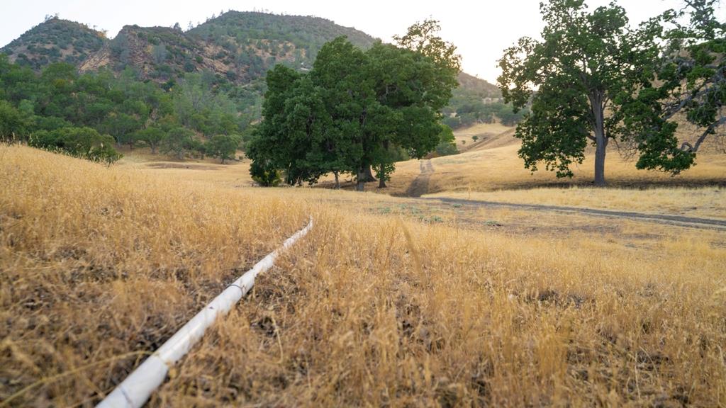 47069 Crump Ln, Coalinga, CA 93210