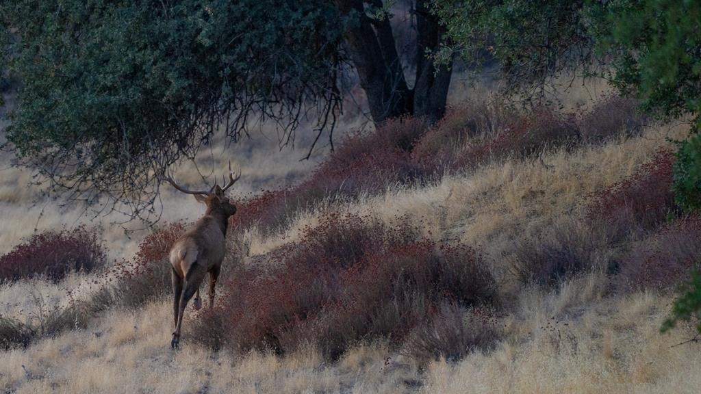 47069 Crump Ln, Coalinga, CA 93210