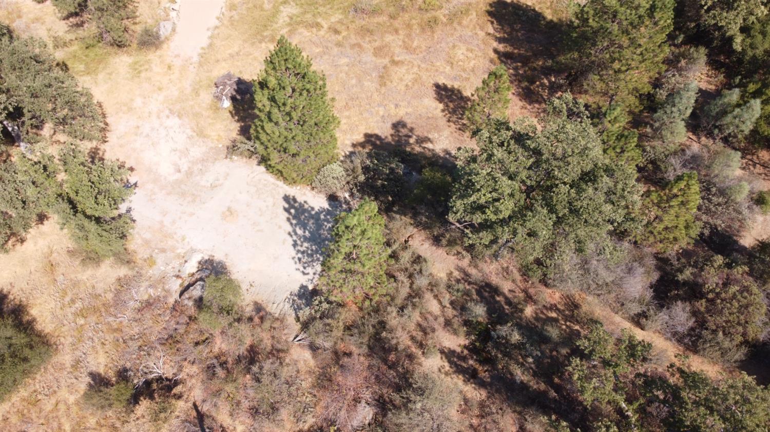 0 0000 Victoria Ln, Oakhurst, CA 93644