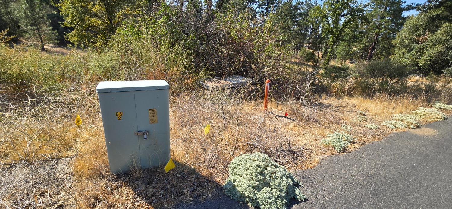 0 0000 Victoria Ln, Oakhurst, CA 93644