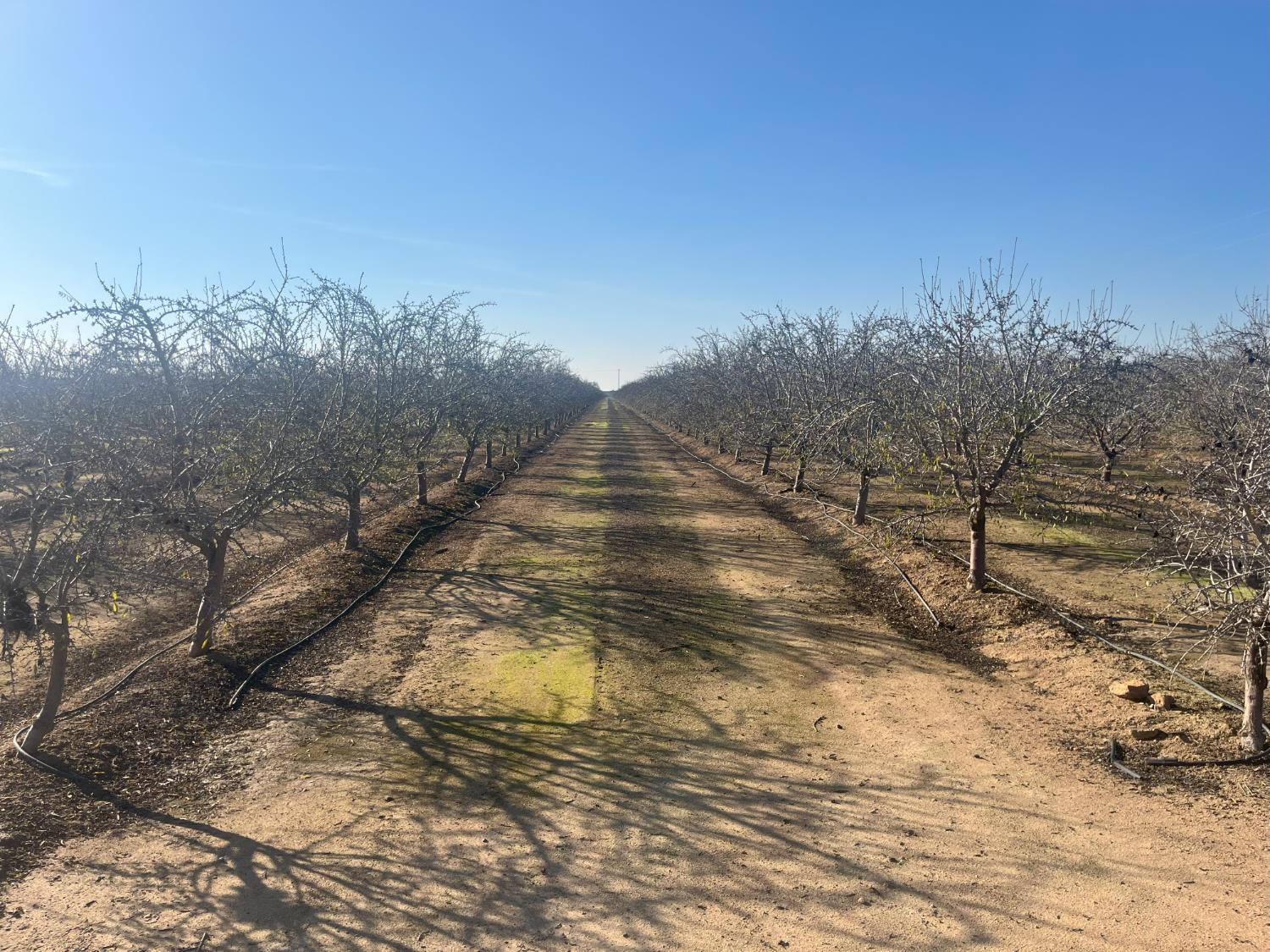 25012 Avenue 24, Chowchilla, CA 93610