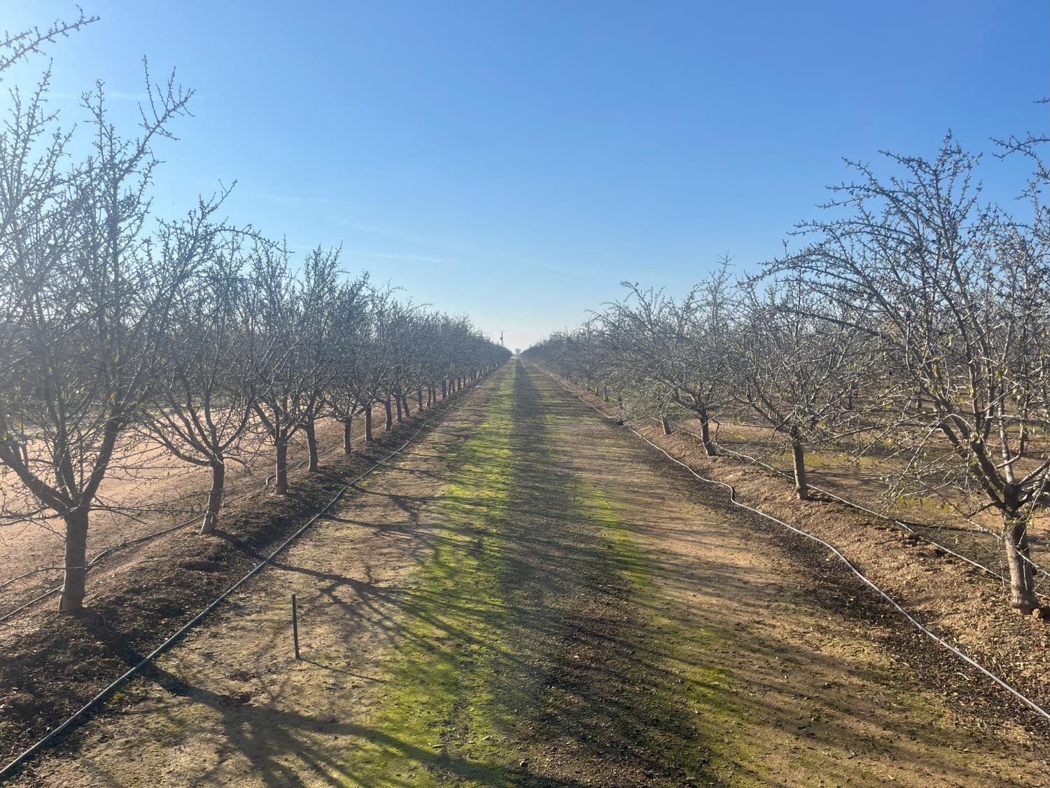 25012 Avenue 24, Chowchilla, CA 93610