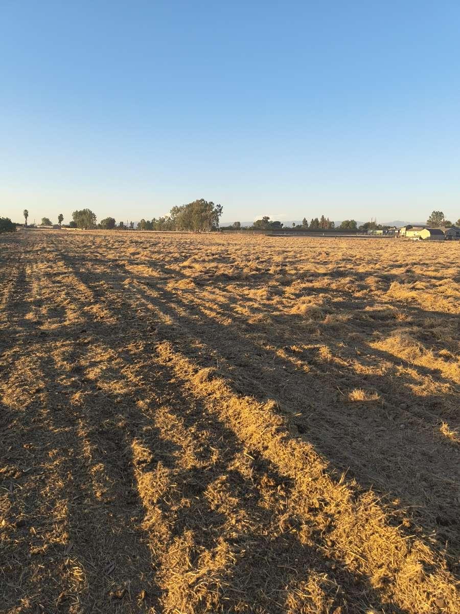 0 0 Avenue 13 1/2, Madera, CA 93636