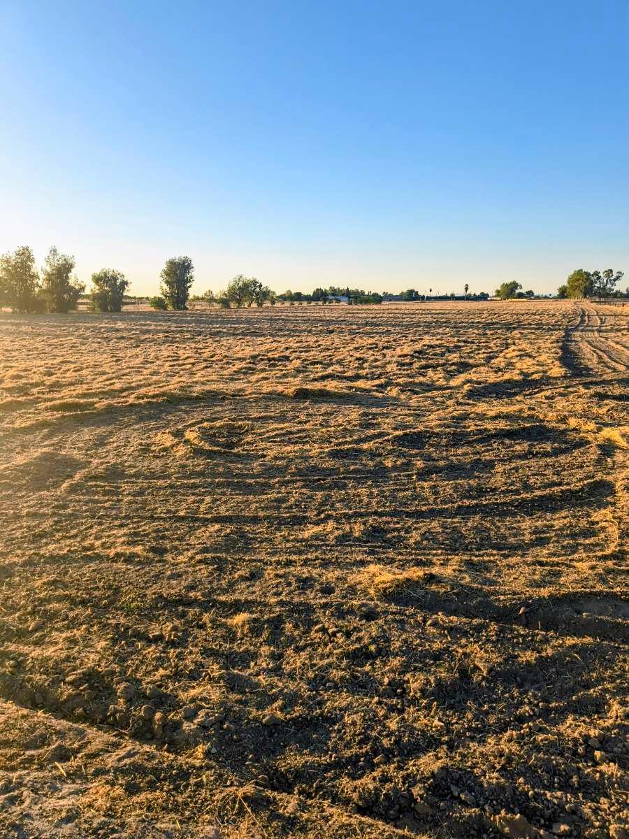 0 0 Avenue 13 1/2, Madera, CA 93636