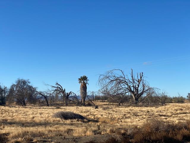 41605 Sutter Ave, Coalinga, CA 93210