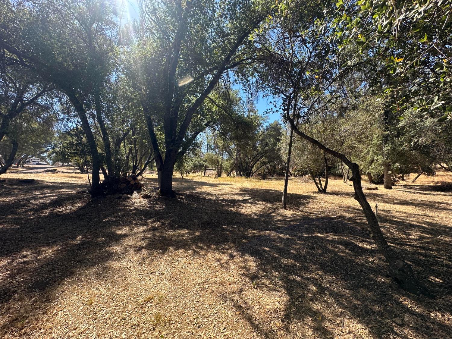 120 lot Rd, Coarsegold, CA 93614