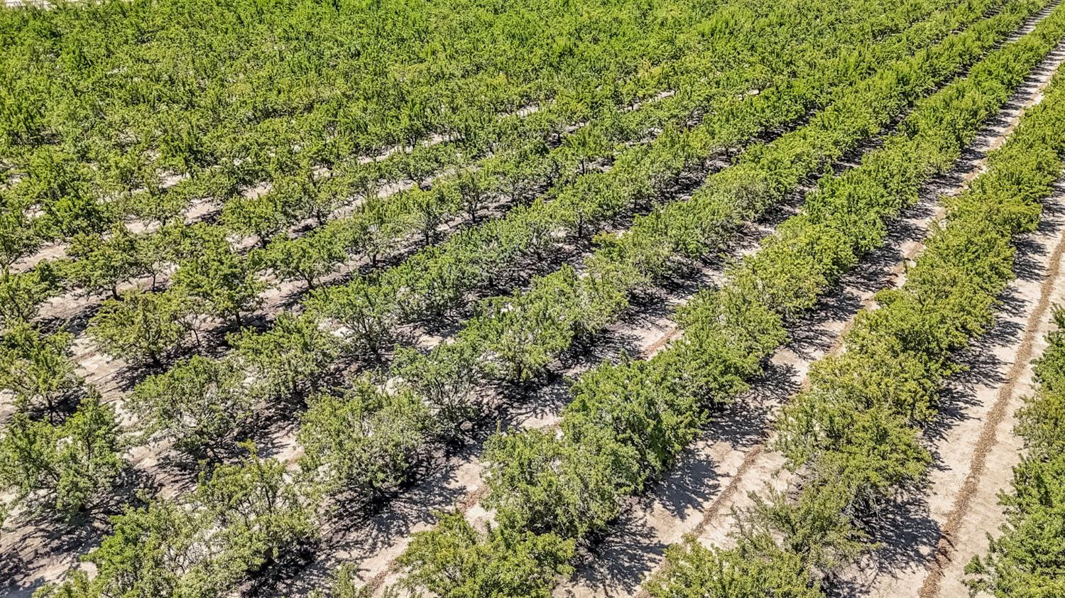 13335 S Willow Ave, Selma, CA 93662