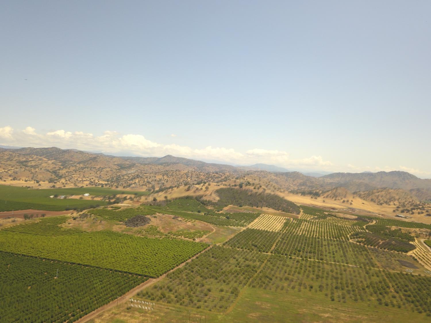 1 TBD, Orosi, CA 93647