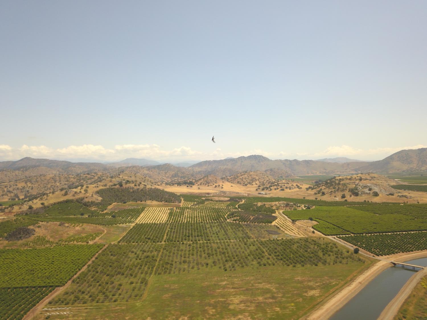 1 TBD, Orosi, CA 93647