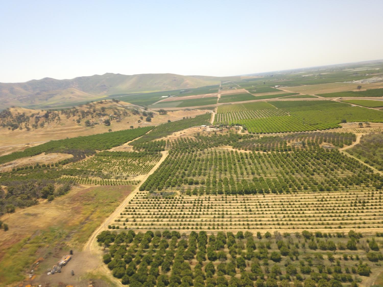 1 TBD, Orosi, CA 93647