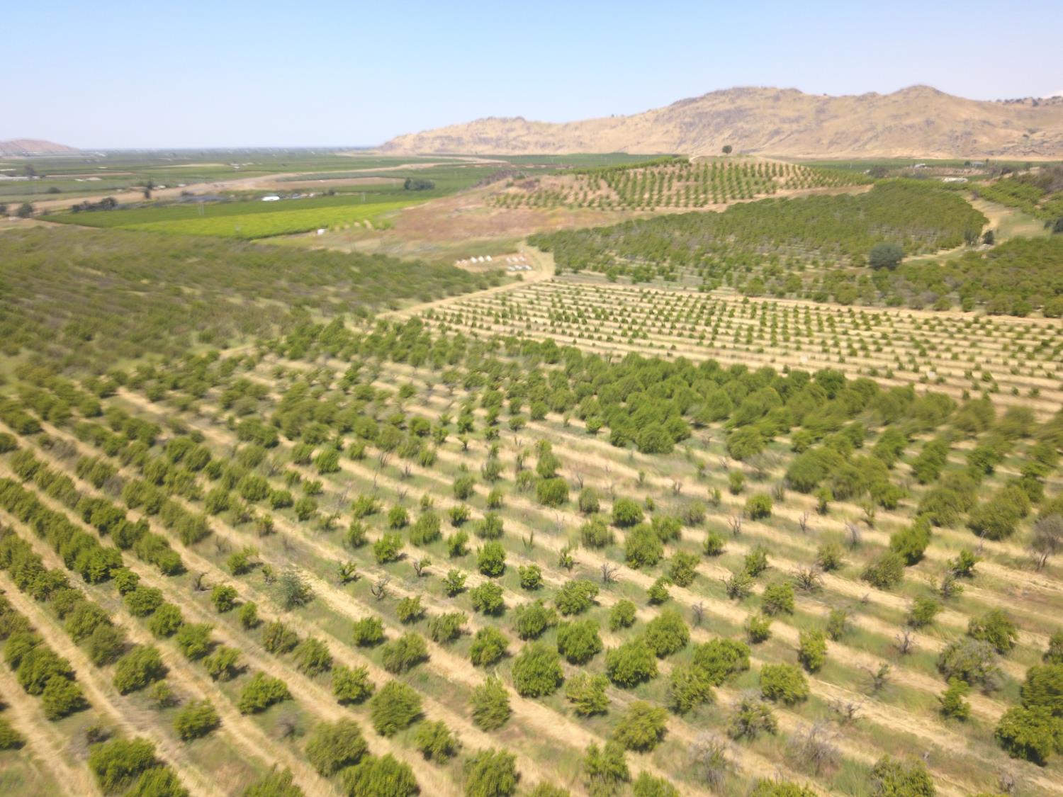 1 TBD, Orosi, CA 93647