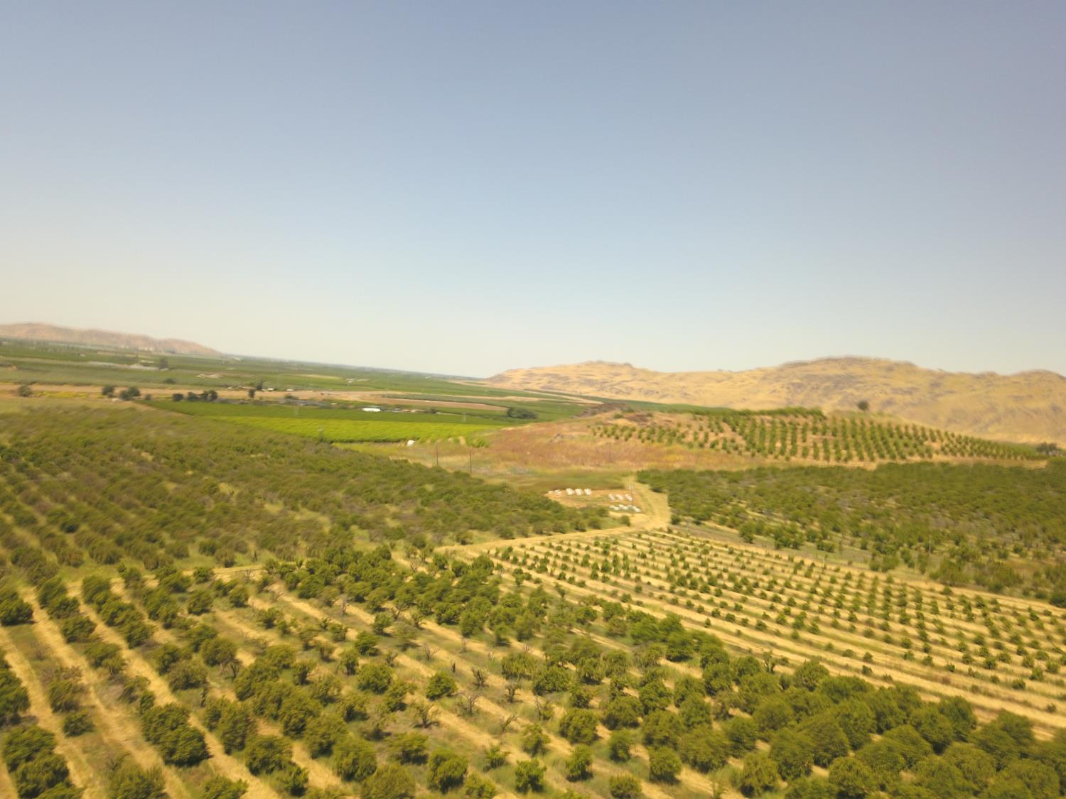 1 TBD, Orosi, CA 93647