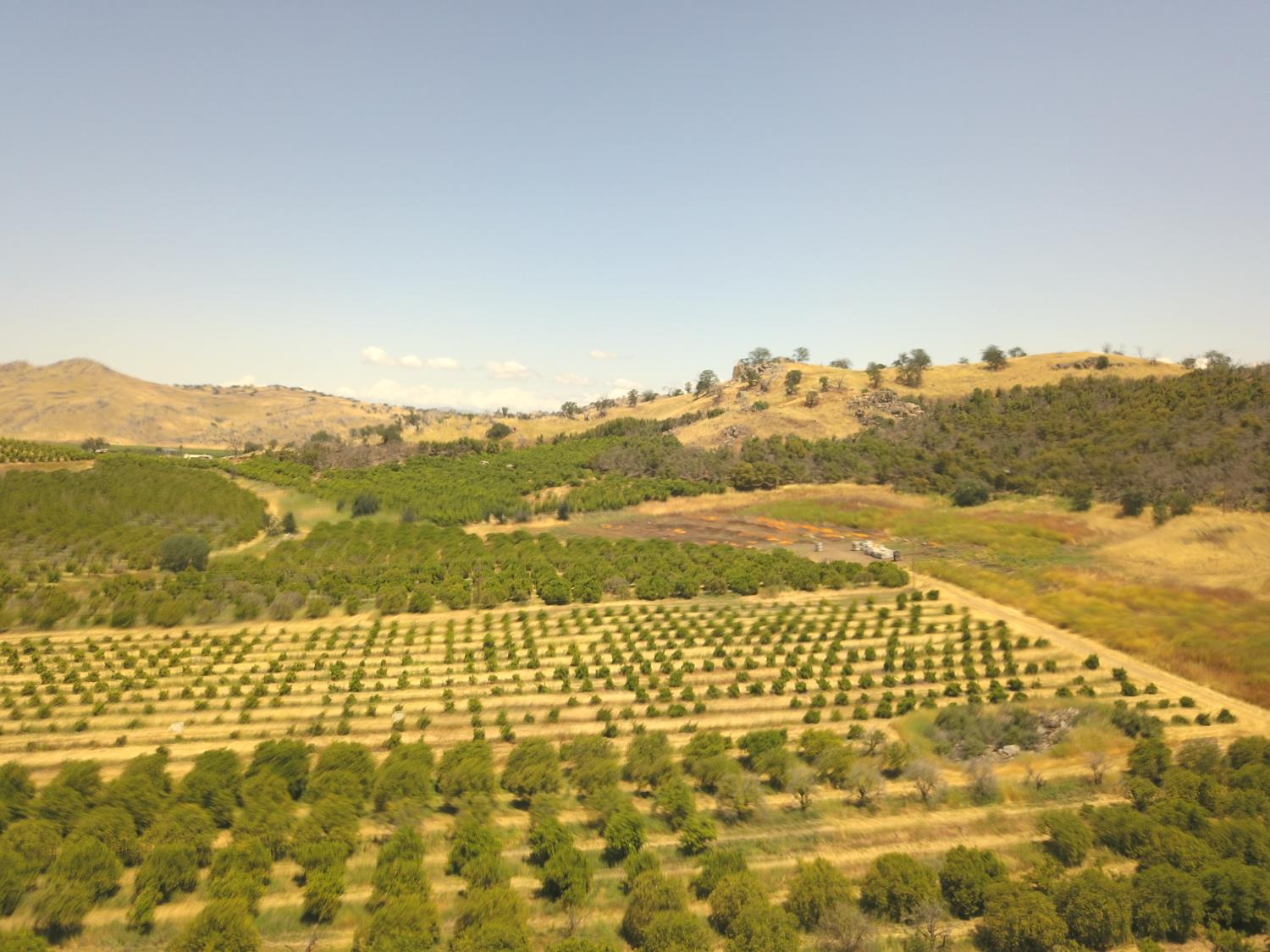 1 TBD, Orosi, CA 93647