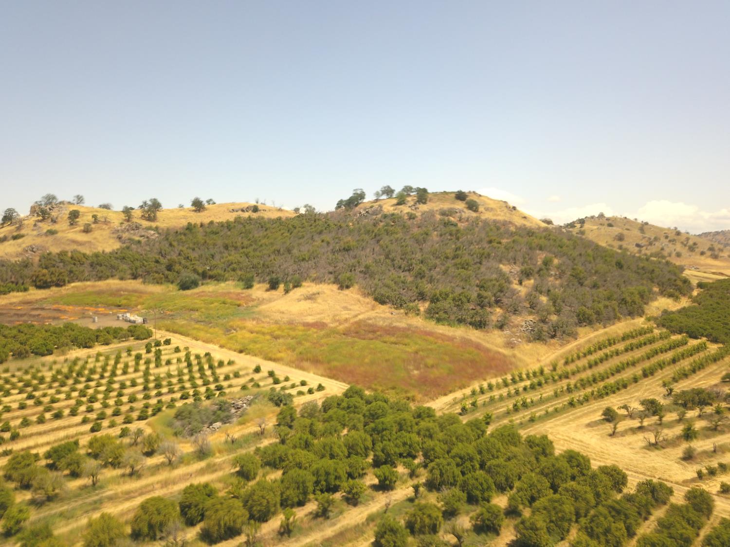 1 TBD, Orosi, CA 93647