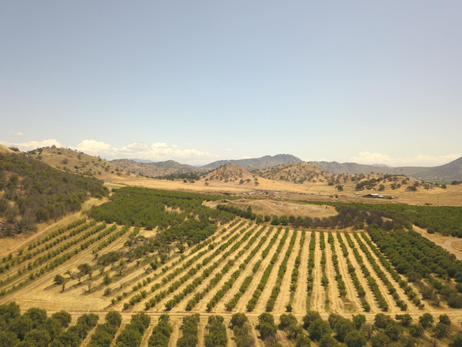 1 TBD, Orosi, CA 93647