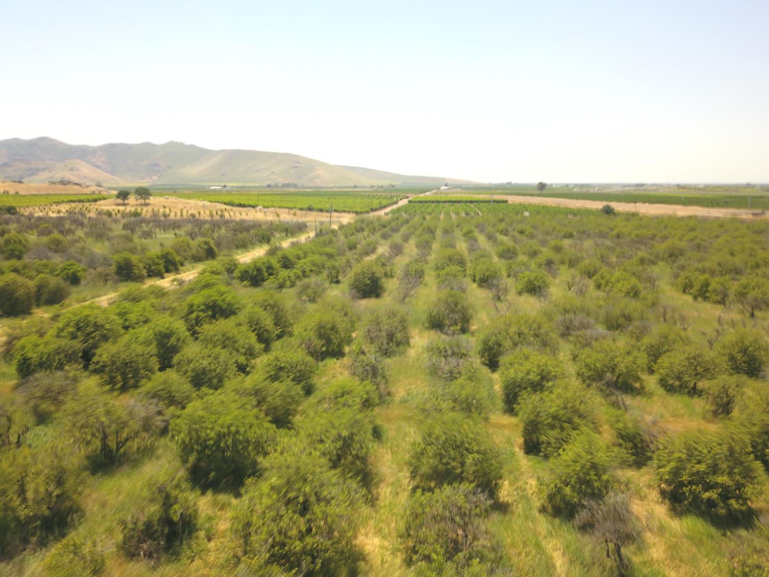 1 TBD, Orosi, CA 93647