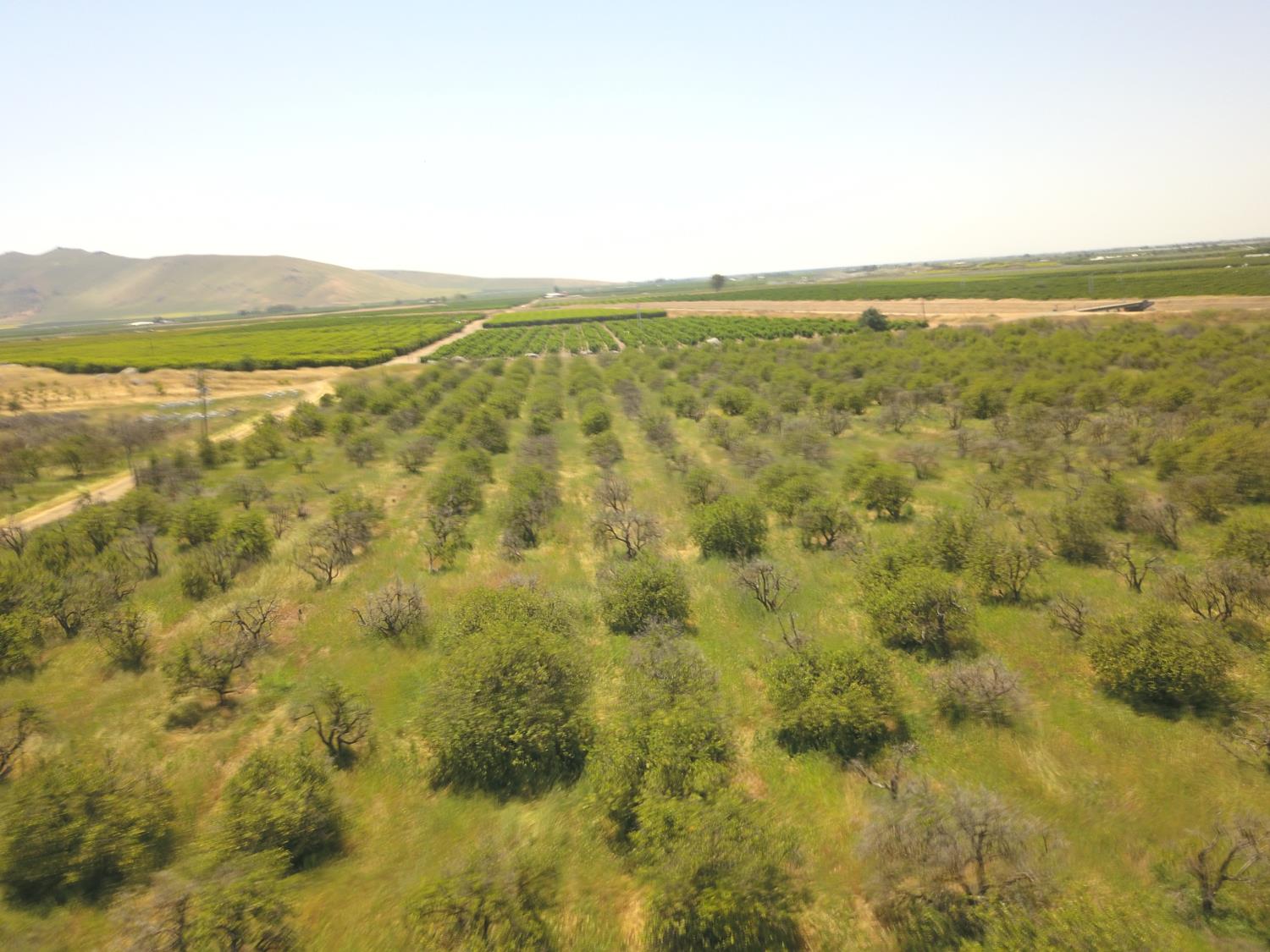 1 TBD, Orosi, CA 93647