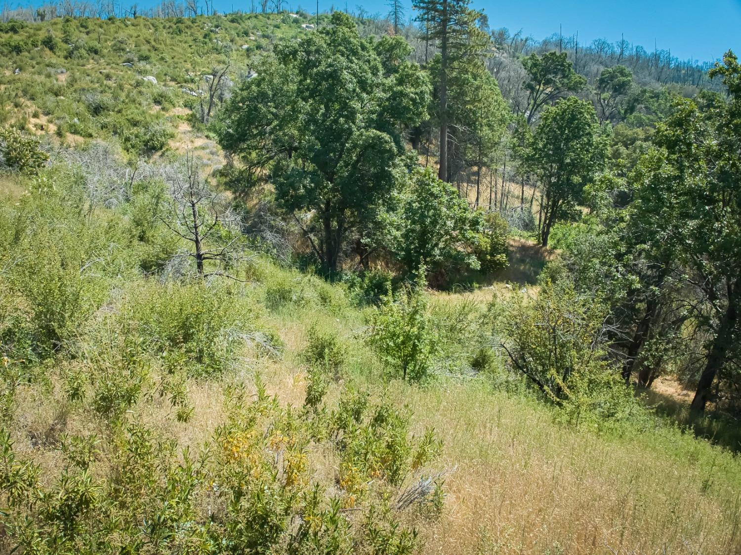 11111 Peterson Rd, Auberry, CA 93602