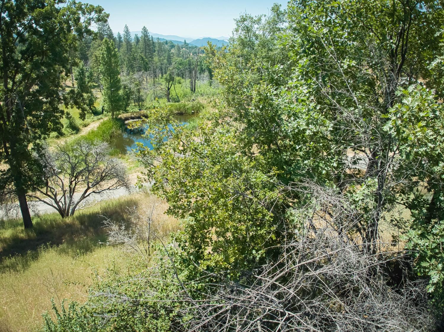 11111 Peterson Rd, Auberry, CA 93602