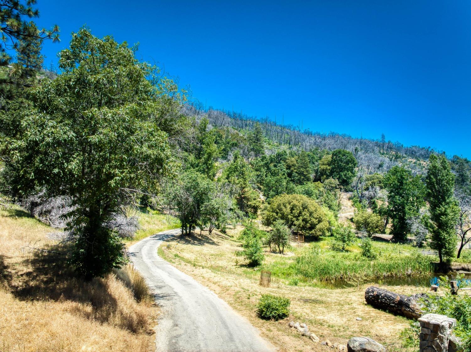 11111 Peterson Rd, Auberry, CA 93602