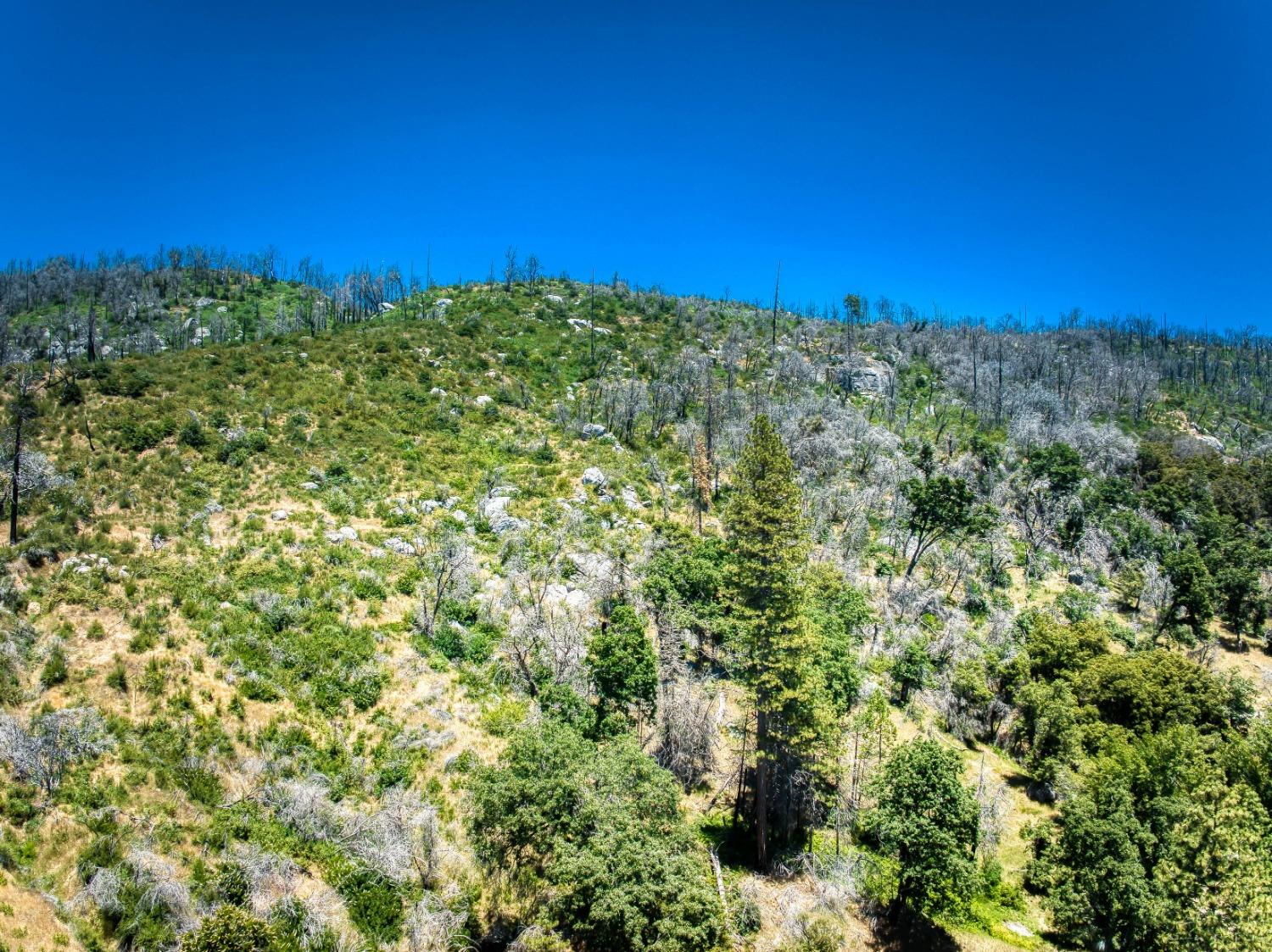 11111 Peterson Rd, Auberry, CA 93602