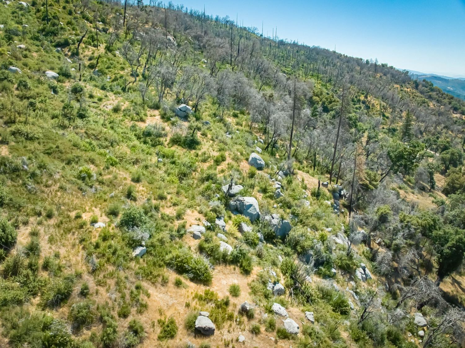 11111 Peterson Rd, Auberry, CA 93602