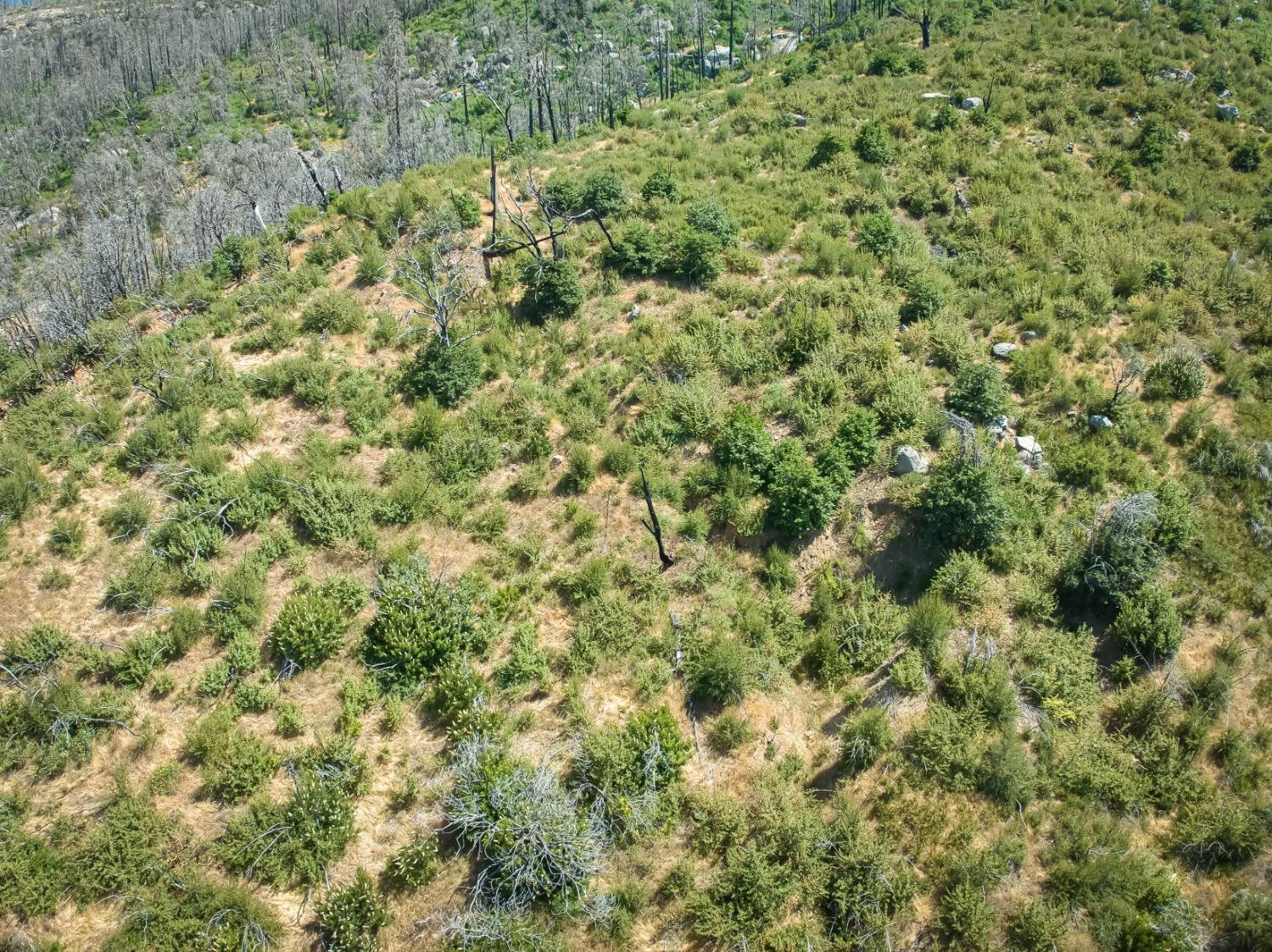 11111 Peterson Rd, Auberry, CA 93602