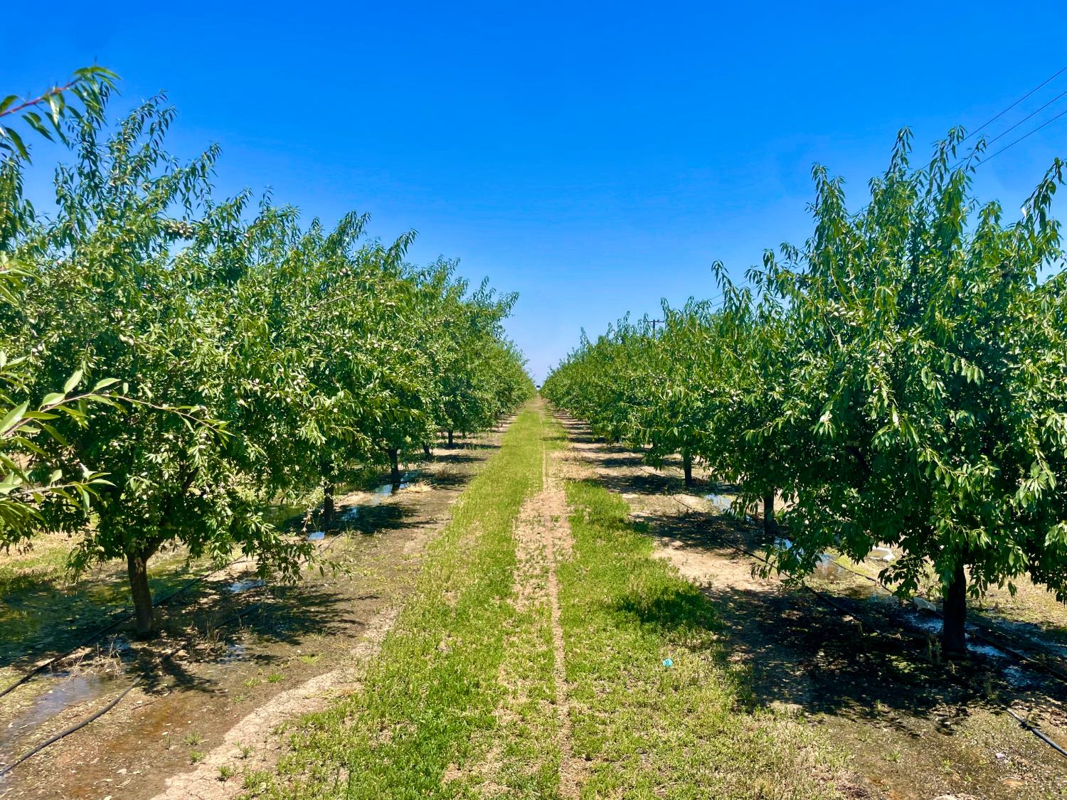 10900 Whitworth, Gustine, CA 95322