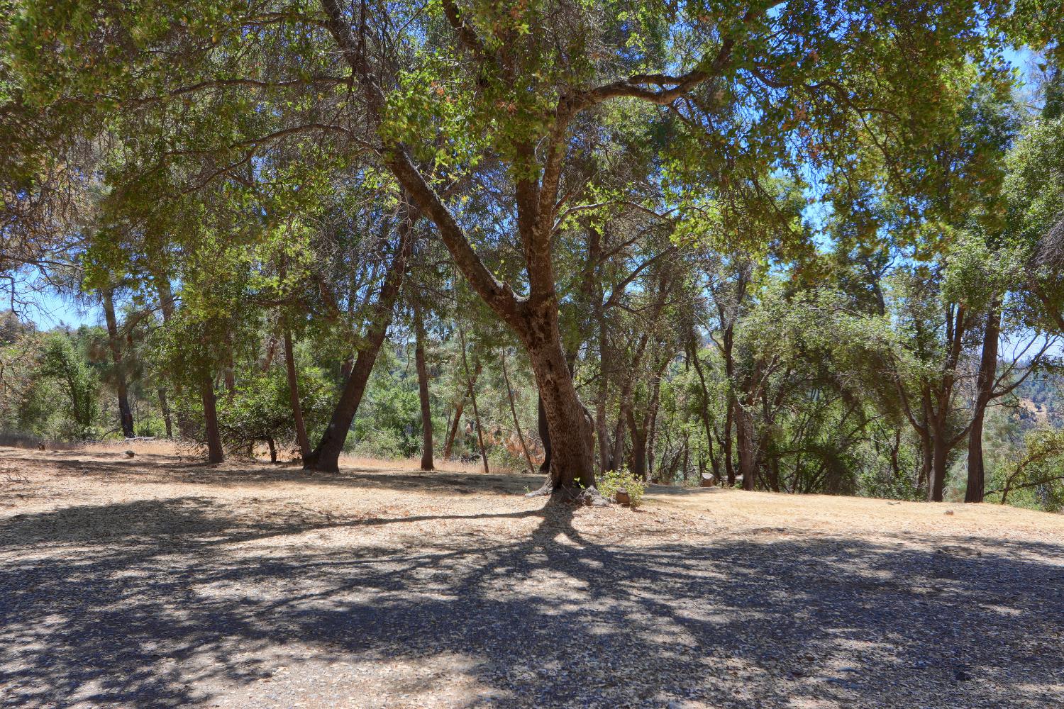 5857 Allred Rd, Mariposa, CA 95338
