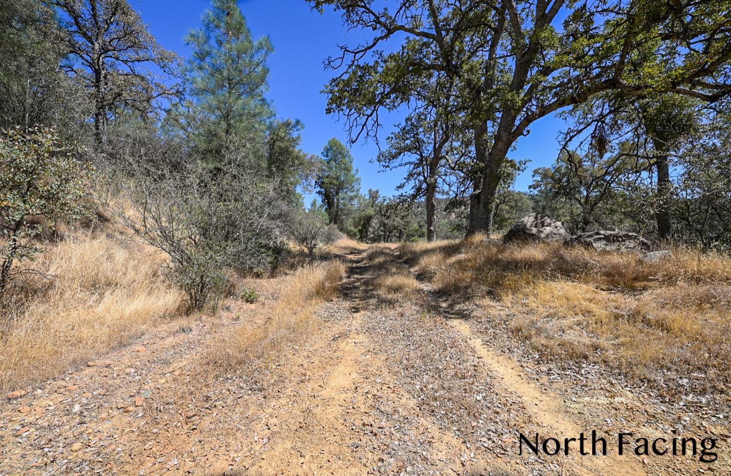 5799 Corey Pines Rd, Mariposa, CA 95338