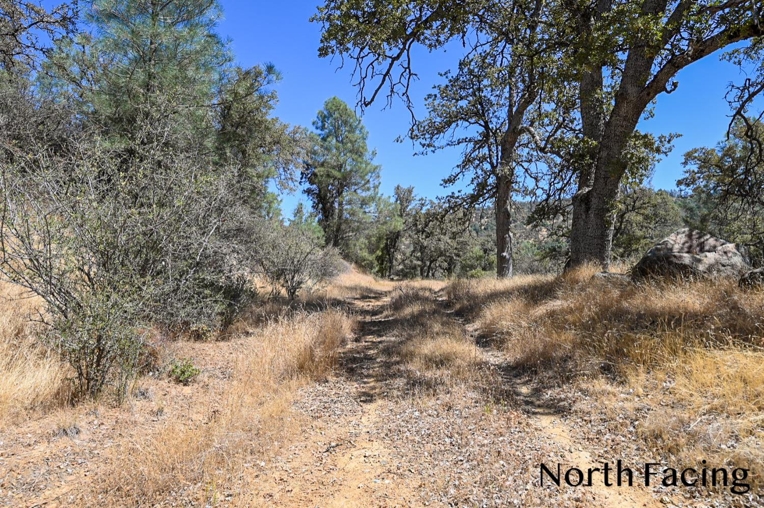 5799 Corey Pines Rd, Mariposa, CA 95338