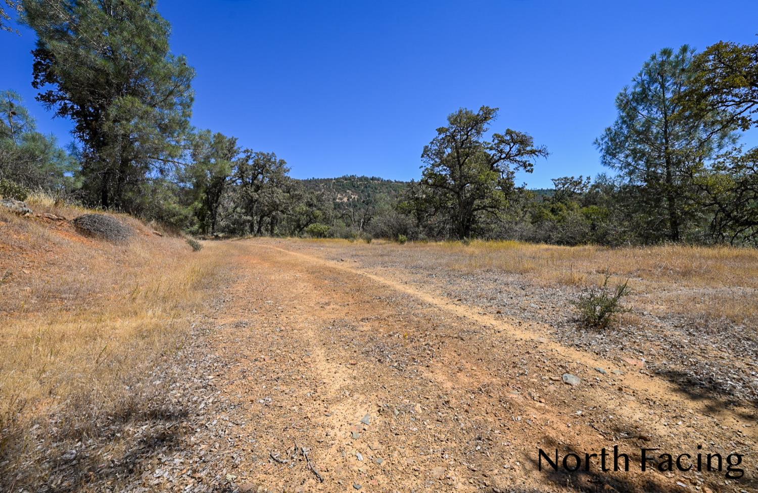 5799 Corey Pines Rd, Mariposa, CA 95338