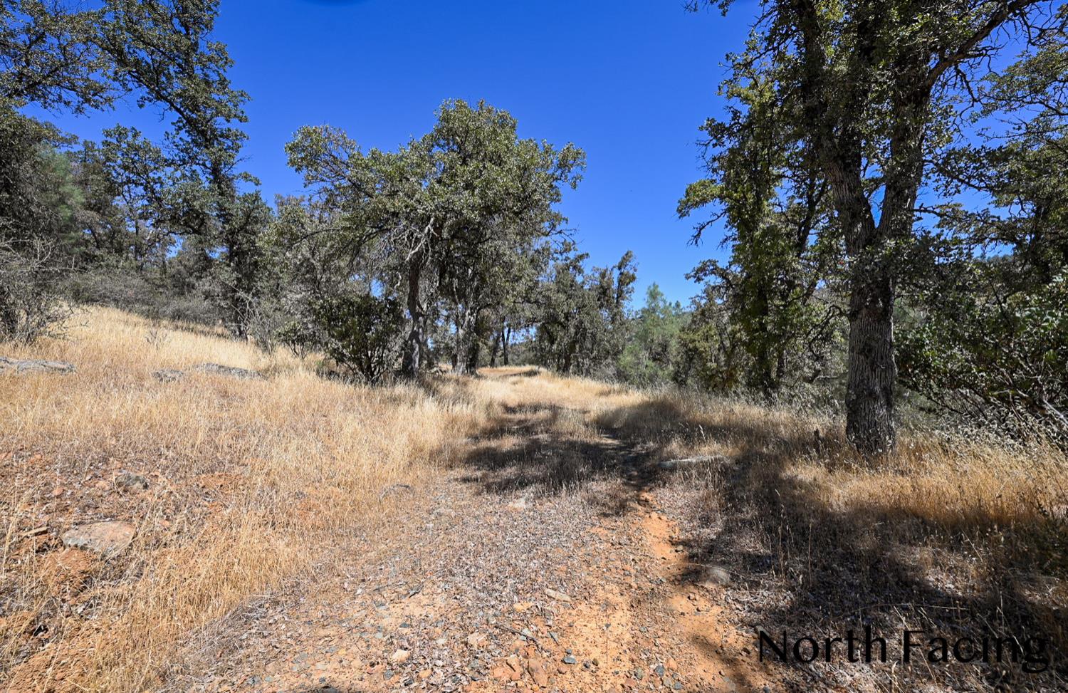 5799 Corey Pines Rd, Mariposa, CA 95338