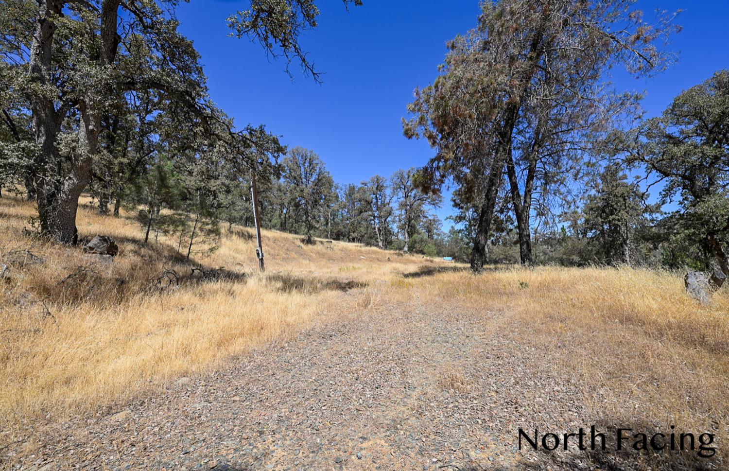 5799 Corey Pines Rd, Mariposa, CA 95338