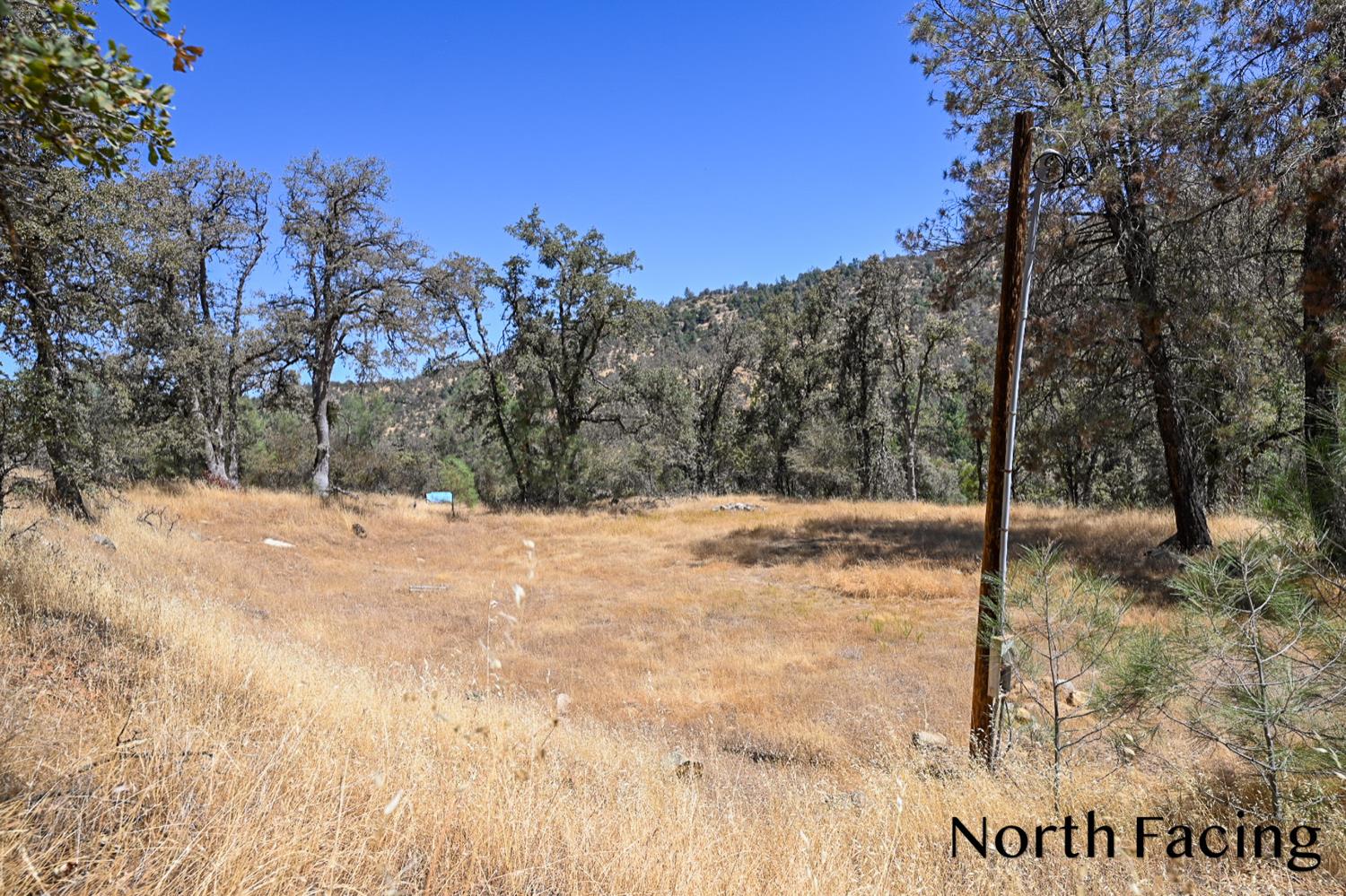 5799 Corey Pines Rd, Mariposa, CA 95338