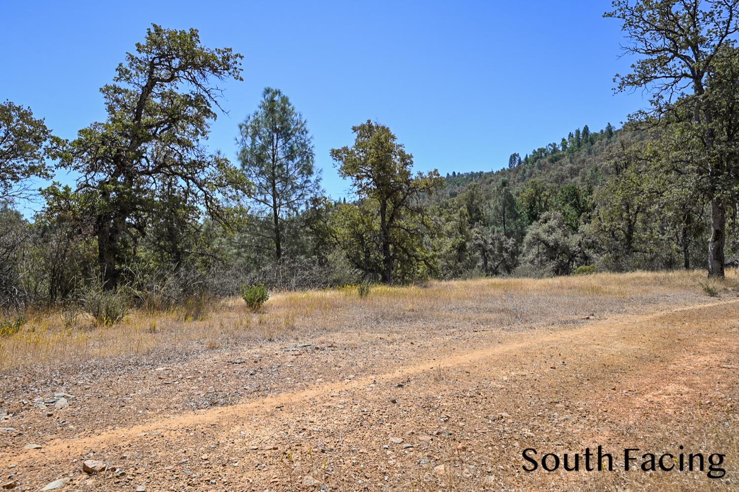 5799 Corey Pines Rd, Mariposa, CA 95338