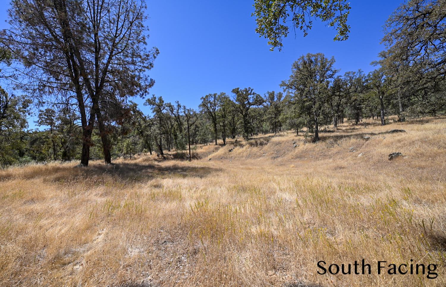 5799 Corey Pines Rd, Mariposa, CA 95338