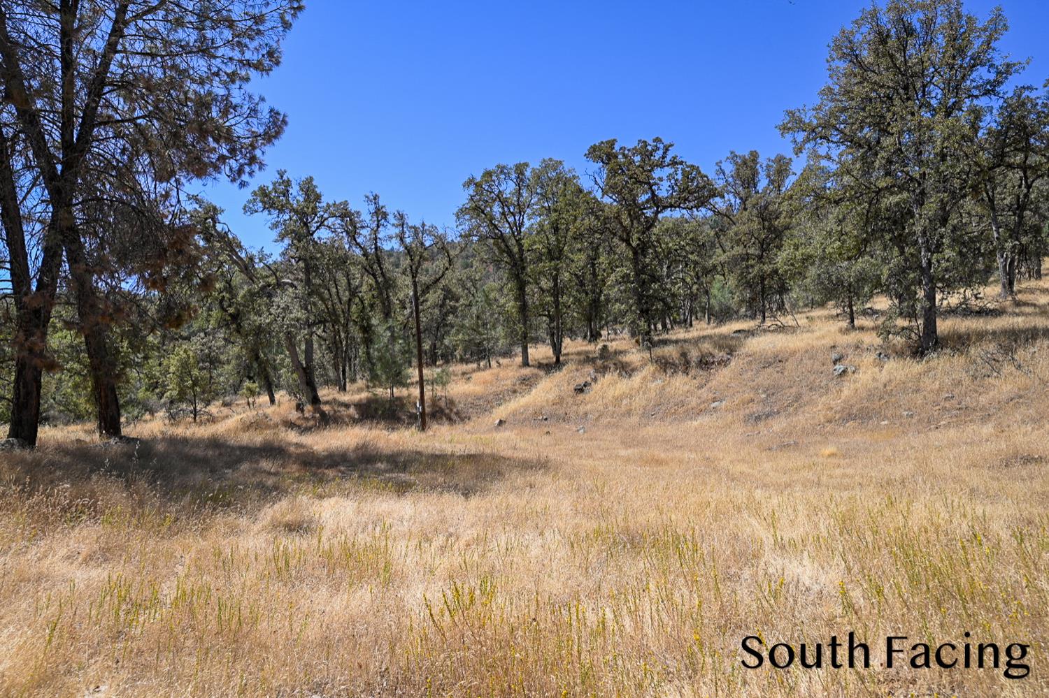 5799 Corey Pines Rd, Mariposa, CA 95338