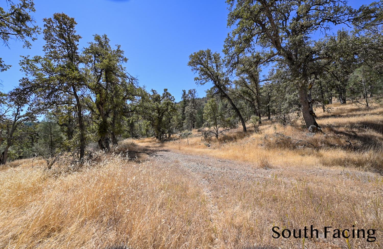 5799 Corey Pines Rd, Mariposa, CA 95338