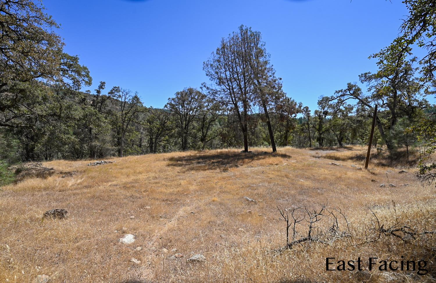 5799 Corey Pines Rd, Mariposa, CA 95338