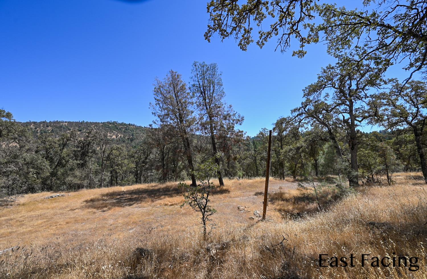 5799 Corey Pines Rd, Mariposa, CA 95338
