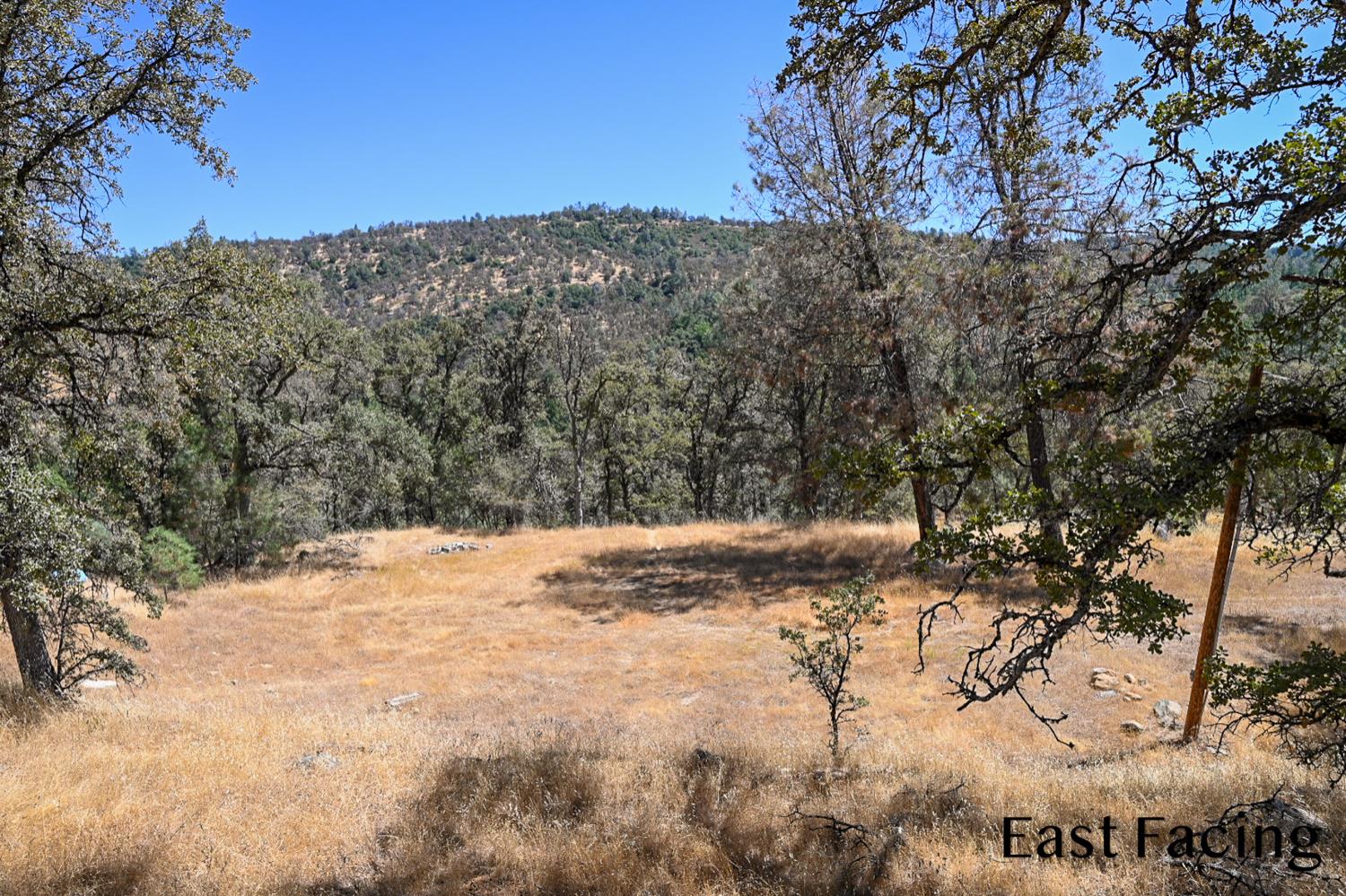 5799 Corey Pines Rd, Mariposa, CA 95338