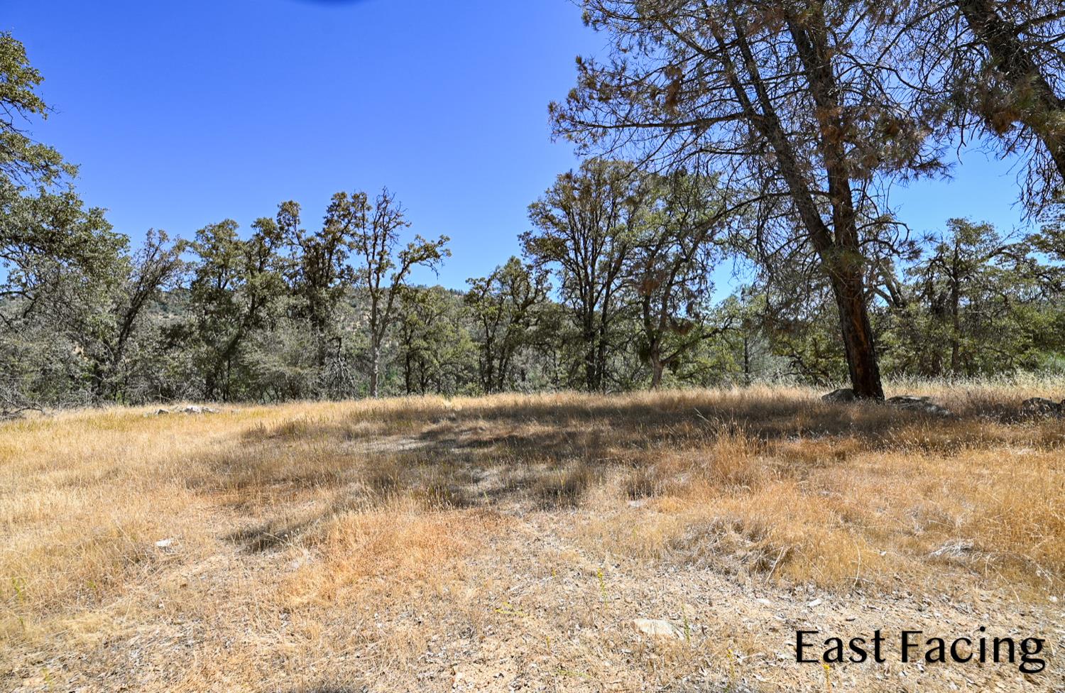 5799 Corey Pines Rd, Mariposa, CA 95338