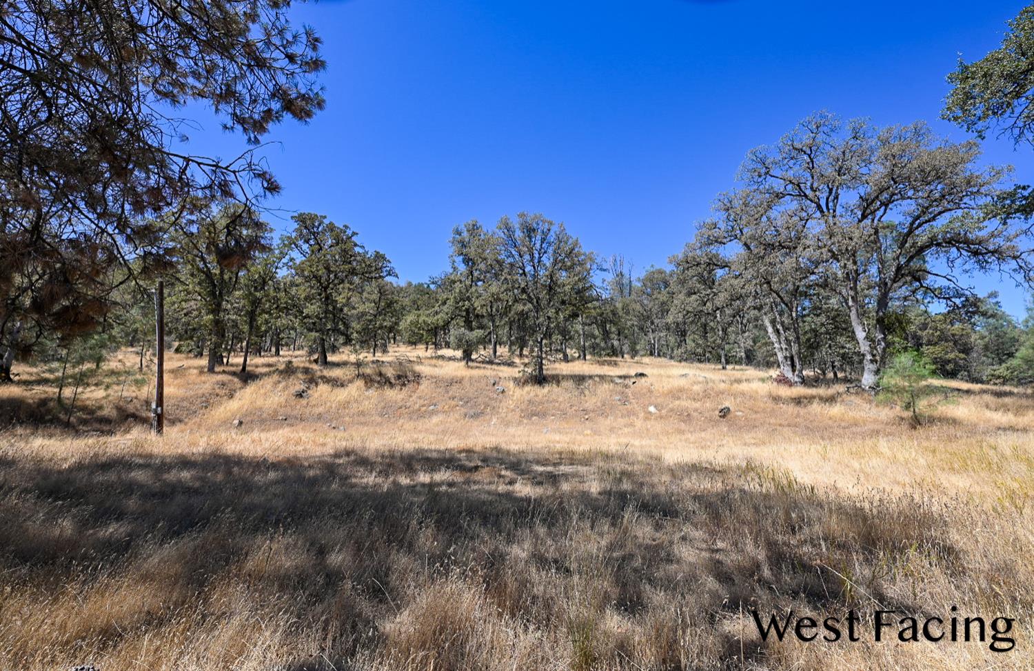 5799 Corey Pines Rd, Mariposa, CA 95338